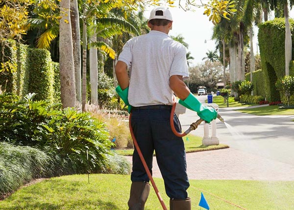 About Roosevelt OK Pest Control